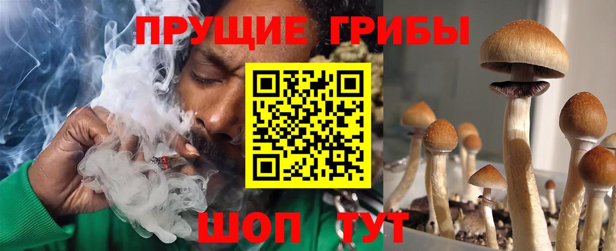 Псилоцибиновые грибы мицелий  Псилоцибиновые грибы GOLDEN TEACHER  Самара  Вход с VPN 